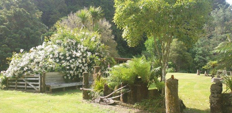 Blackfern Lodge Waimiha Buitenkant foto